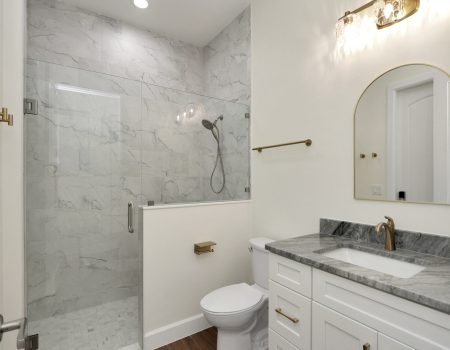Modern guest bathroom featuring a spacious walk-in shower with floor-to-ceiling granite slab walls.